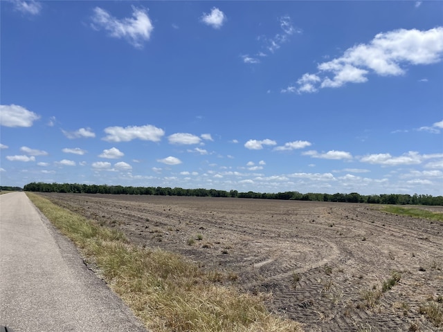 0 Charlie Meyer Rd, Damon, TX 77430 - photo 3