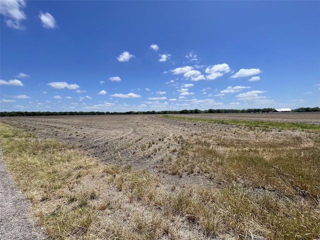 0 Charlie Meyer Rd, Damon, TX 77430 - photo 5
