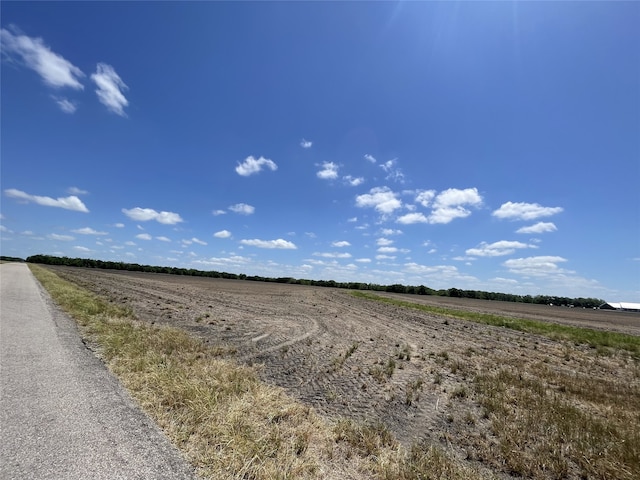 0 Charlie Meyer Rd, Damon, TX 77430 - photo 6