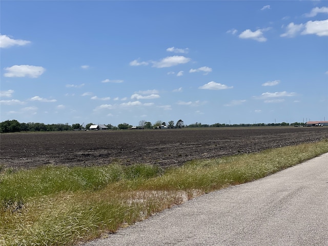 0 Charlie Meyer Rd, Damon, TX 77430 - photo 10