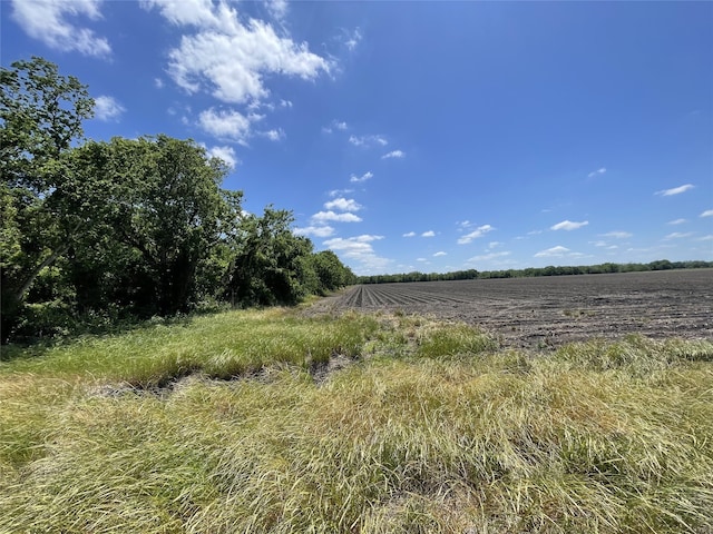 0 Charlie Meyer Rd, Damon, TX 77430 - photo 12