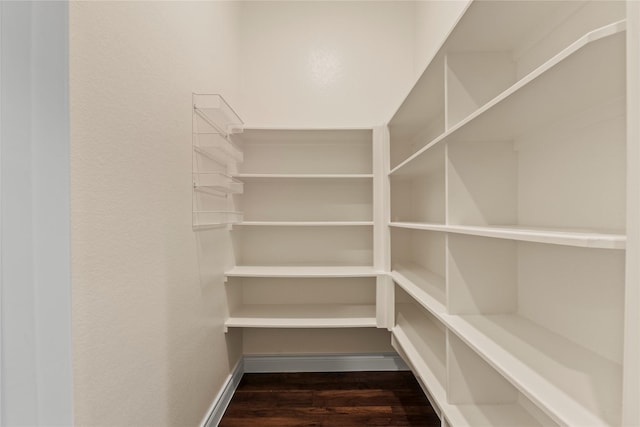 15306 Guava Vis, Conroe, TX 77302 - view of storage area