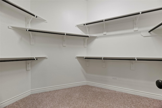 15306 Guava Vis, Conroe, TX 77302 - walk in closet with carpet floors