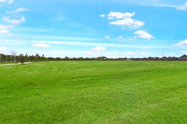 2502 Crossvine Dr, Katy, TX 77494 - view of local wilderness
