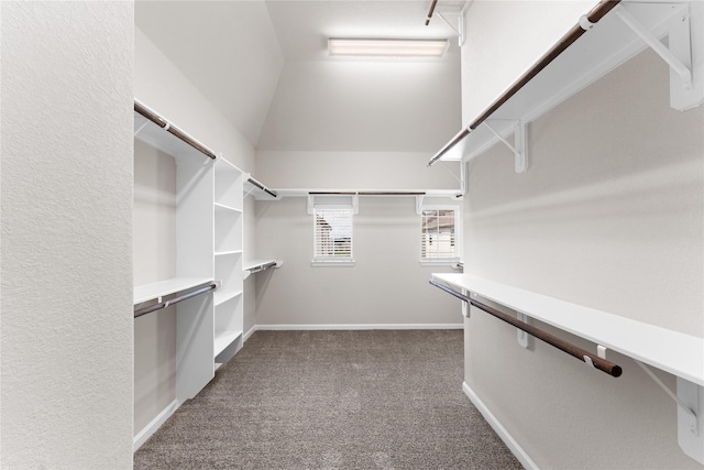 spacious closet with carpet