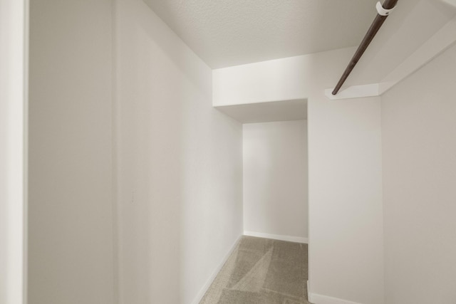 spacious closet with carpet flooring