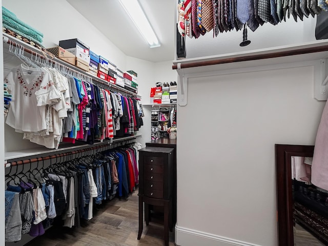walk in closet featuring wood finished floors