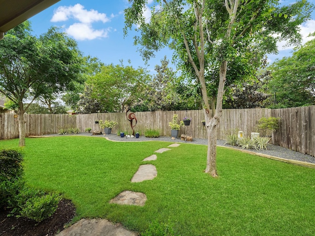 view of yard featuring a fenced backyard