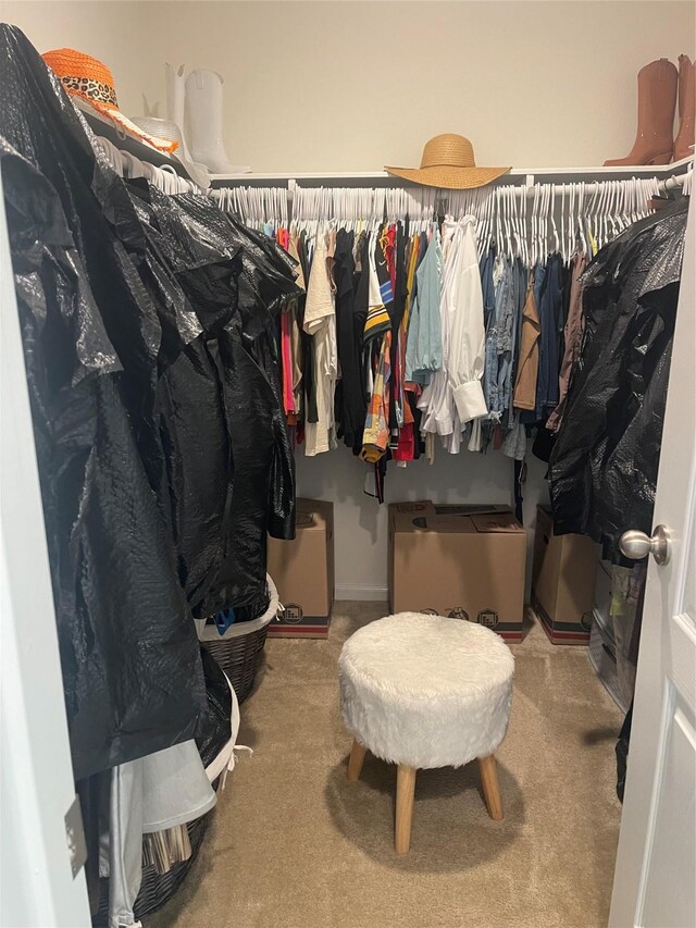 22523 Strathmore Dr, Richmond, TX 77469 - walk in closet featuring carpet flooring