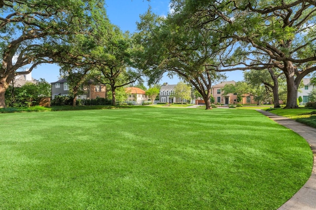 2530 Stanmore Dr, Houston, TX 77019 - view of green lawn featuring a residential view