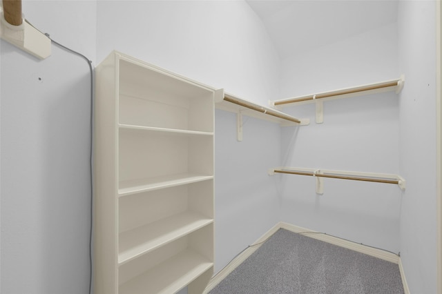 walk in closet with carpet flooring