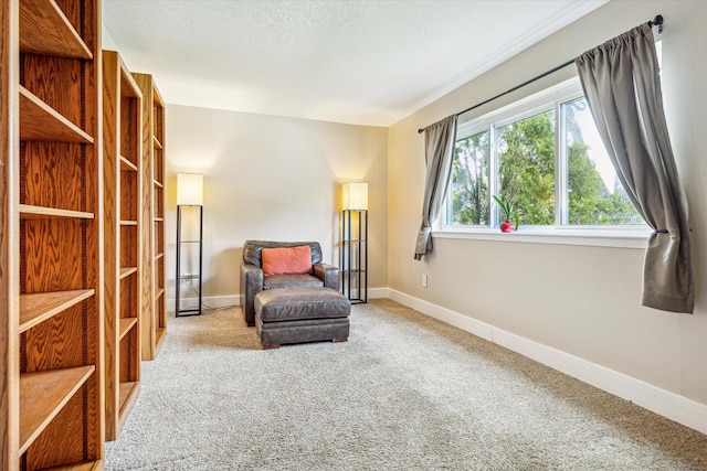 living area featuring baseboards and carpet