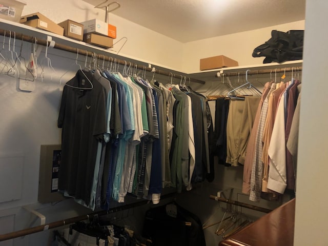 view of walk in closet