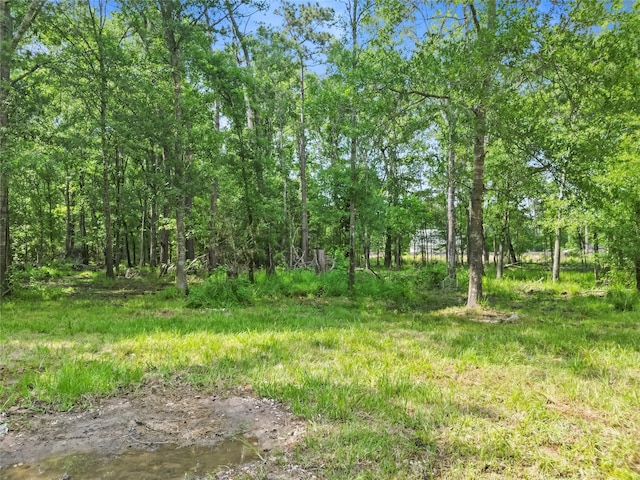 553 County Road 370, Splendora, TX 77372 - photo 38