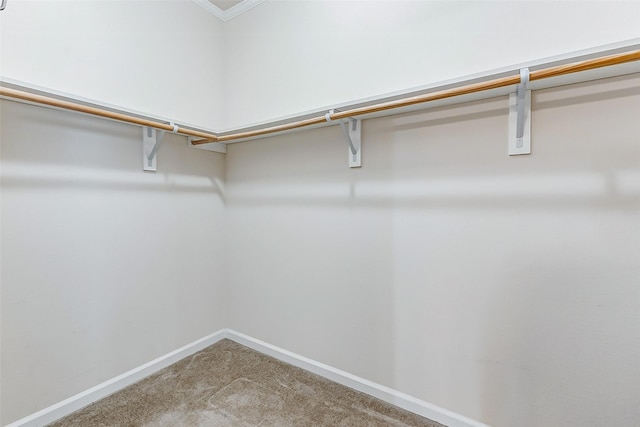 walk in closet featuring light carpet