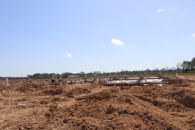 view of yard featuring a rural view