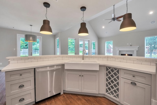 kitchen featuring stainless steel dishwasher, a sink, dark wood-style flooring, and plenty of natural light