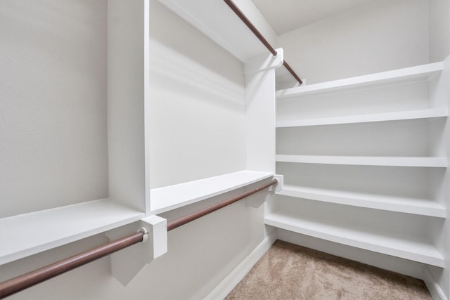 walk in closet with light colored carpet