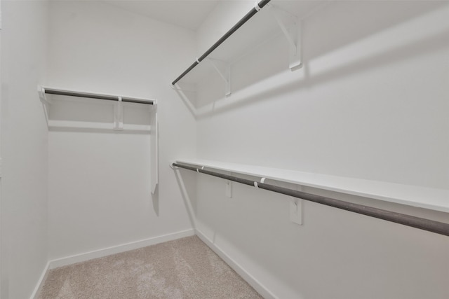 spacious closet featuring light colored carpet