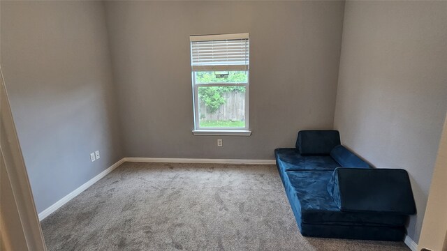 4019 Jewel St, Houston, TX 77026 - photo 12