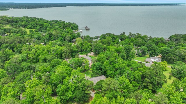 aerial view featuring a water view and a view of trees