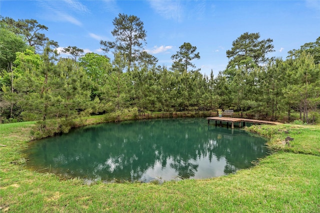 water view with a view of trees