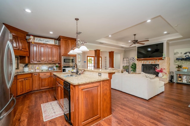 kitchen with light stone countertops, dark wood-style floors, a tray ceiling, a sink, and stainless steel appliances