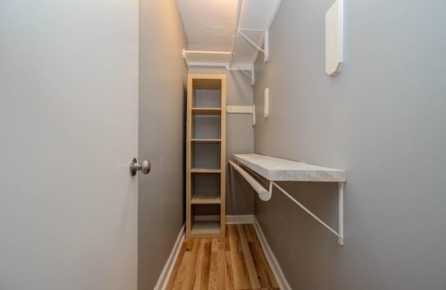 walk in closet with light wood-style flooring