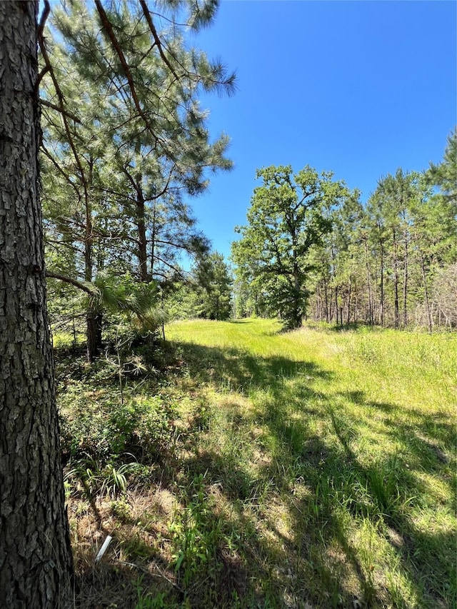 3962 County Road 1095, Kennard, TX 75847