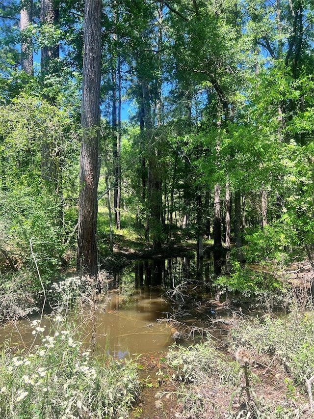 3962 County Road 1095, Kennard, TX 75847