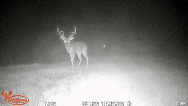3962 County Road 1095, Kennard, TX 75847