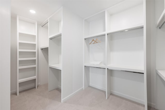 spacious closet featuring light colored carpet