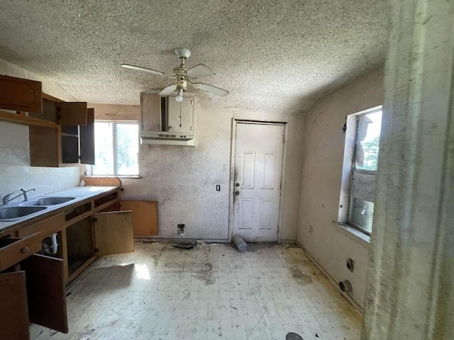 1017 W Buchanan St, Harlingen, TX 78550 - kitchen featuring a sink, a ceiling fan, a textured ceiling, and under cabinet range hood