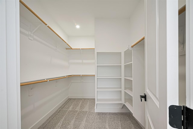 spacious closet featuring carpet
