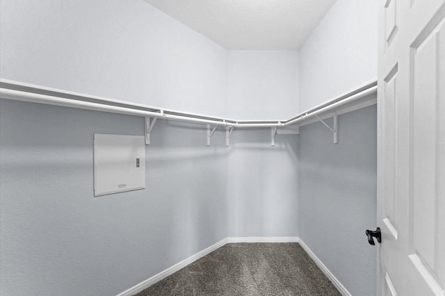 spacious closet featuring dark carpet