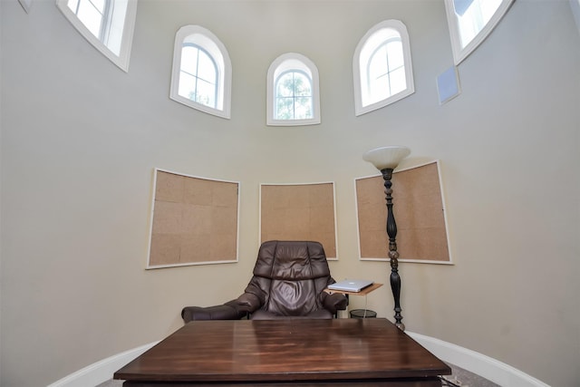 interior space with baseboards and a towering ceiling