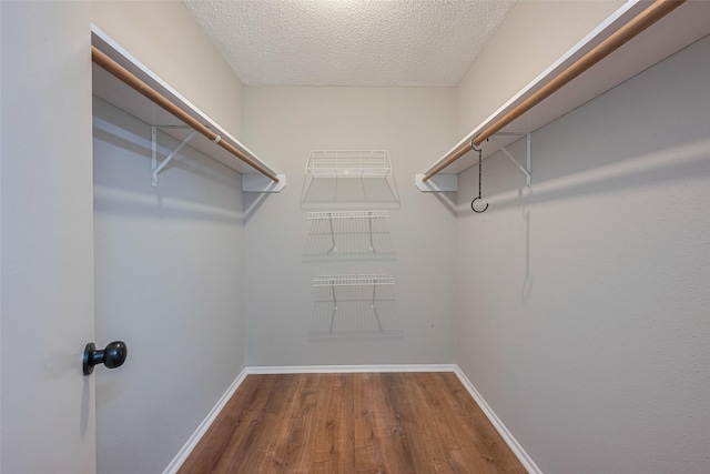 walk in closet with wood finished floors