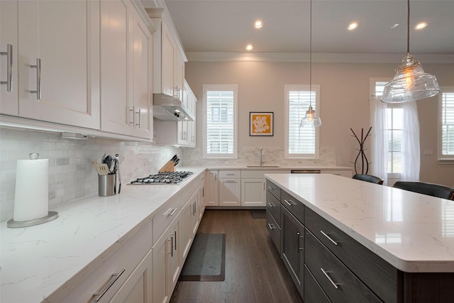 kitchen with crown molding, plenty of natural light, under cabinet range hood, and white cabinets
