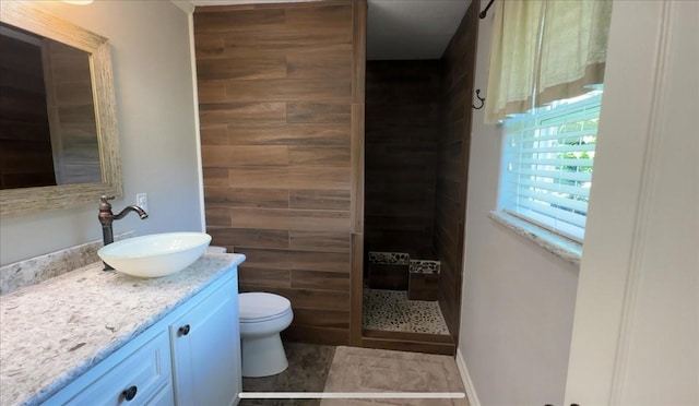 bathroom with toilet, walk in shower, and vanity