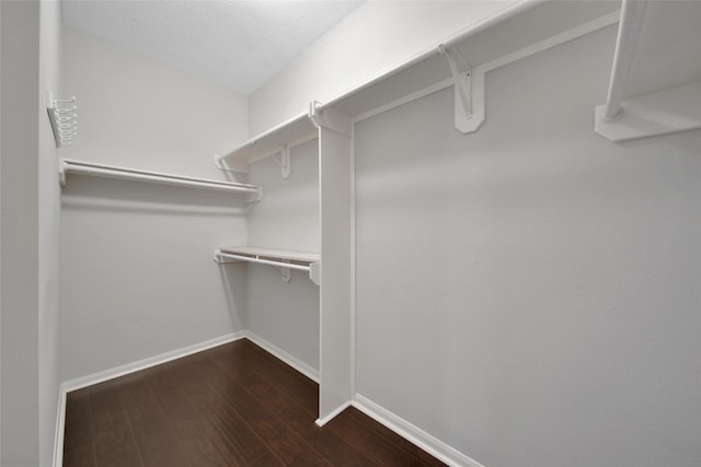 spacious closet featuring dark wood-type flooring