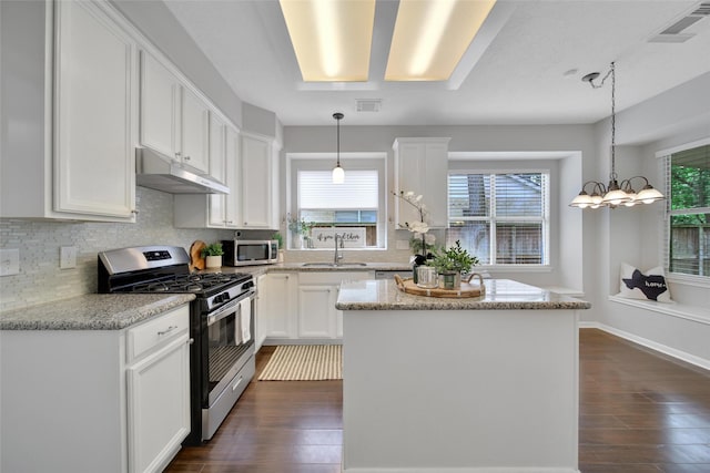 kitchen featuring decorative backsplash, appliances with stainless steel finishes, under cabinet range hood, and dark wood-style floors