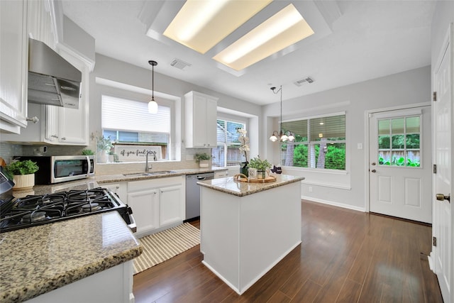 kitchen featuring appliances with stainless steel finishes, a sink, extractor fan, dark wood-type flooring, and visible vents