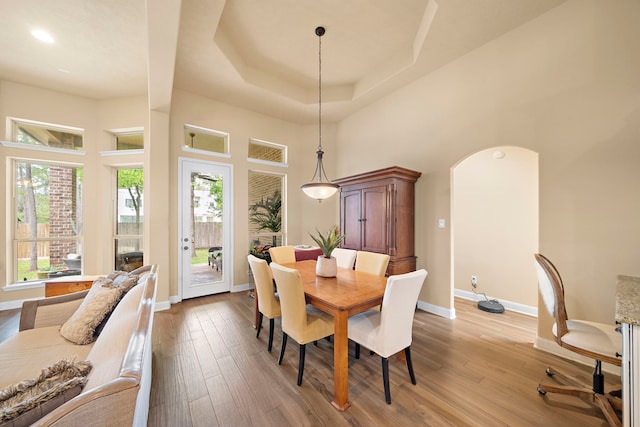 13105 Parc Cove Ct, Cypress, TX 77429 - dining space featuring baseboards, wood finished floors, a high ceiling, and a raised ceiling