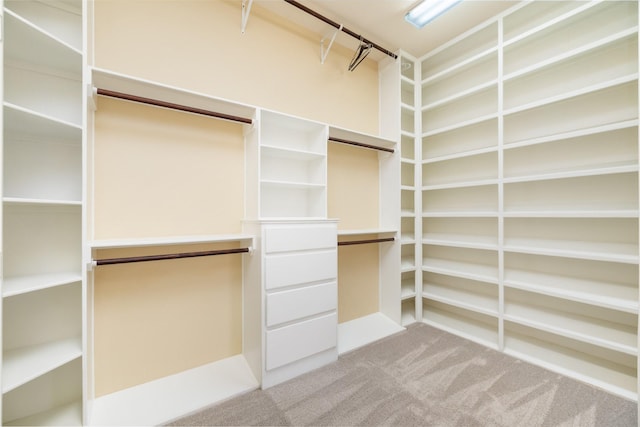 2010 Cias Trail Ln, Spring, TX 77386 - walk in closet featuring light carpet