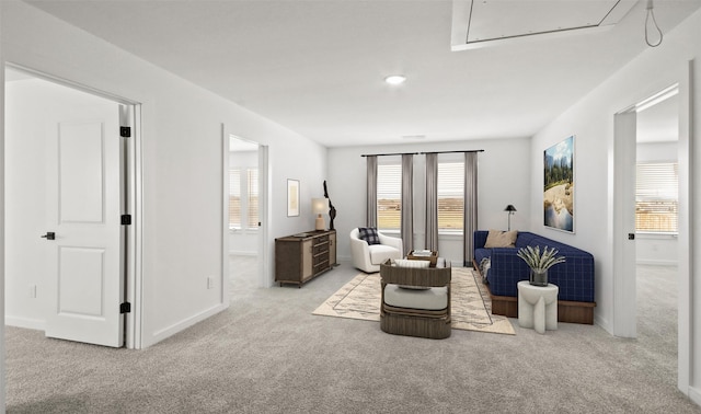 living area featuring baseboards, carpet flooring, and attic access