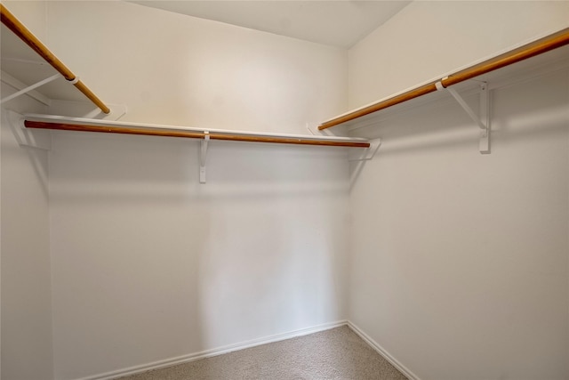 spacious closet with carpet floors