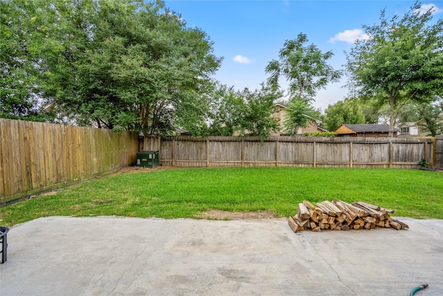 view of yard featuring a fenced backyard and a patio