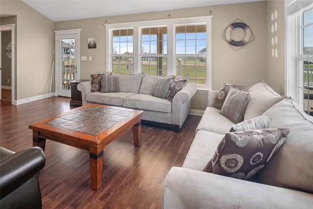 living room with baseboards, plenty of natural light, and wood finished floors