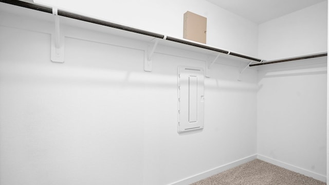 walk in closet featuring carpet flooring