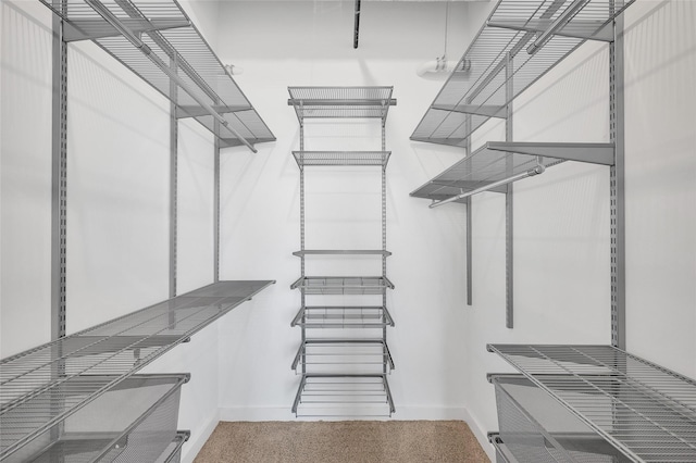 204 Travis St Unit 4A, Houston, TX 77002 - walk in closet with carpet flooring